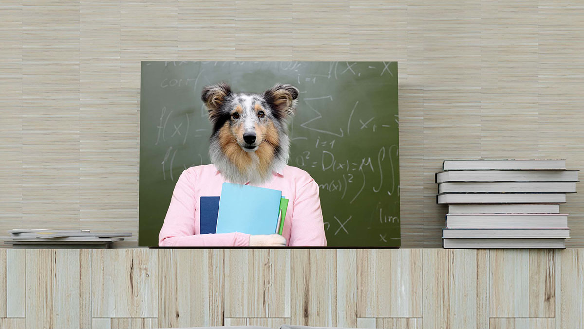 paint your own dog into a responsible teacher portrait