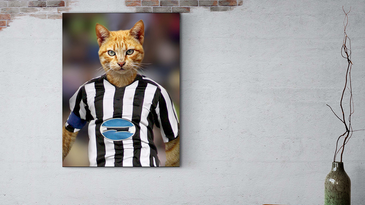 painting of your cat ready for a soccer match