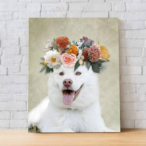 pet canvas custom