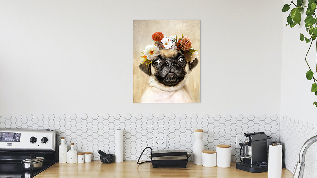 pet portrait wall canvas