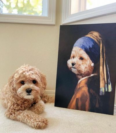 pets with a pearl earring pet portrait