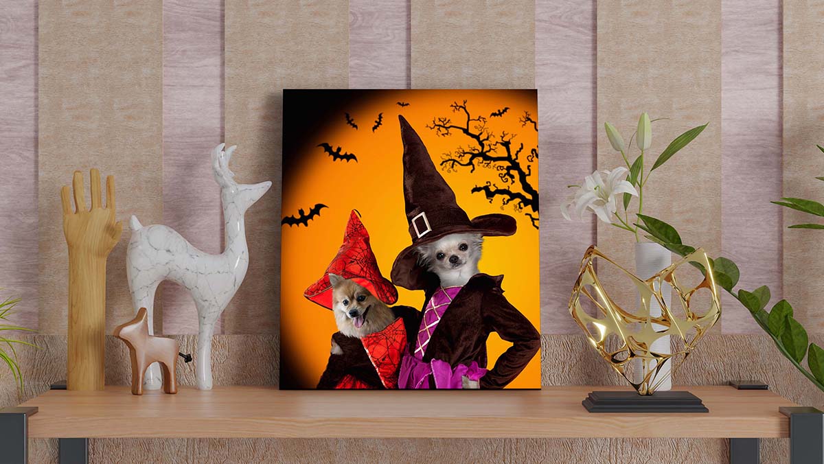 portrait of dogs in haloween witch costumes