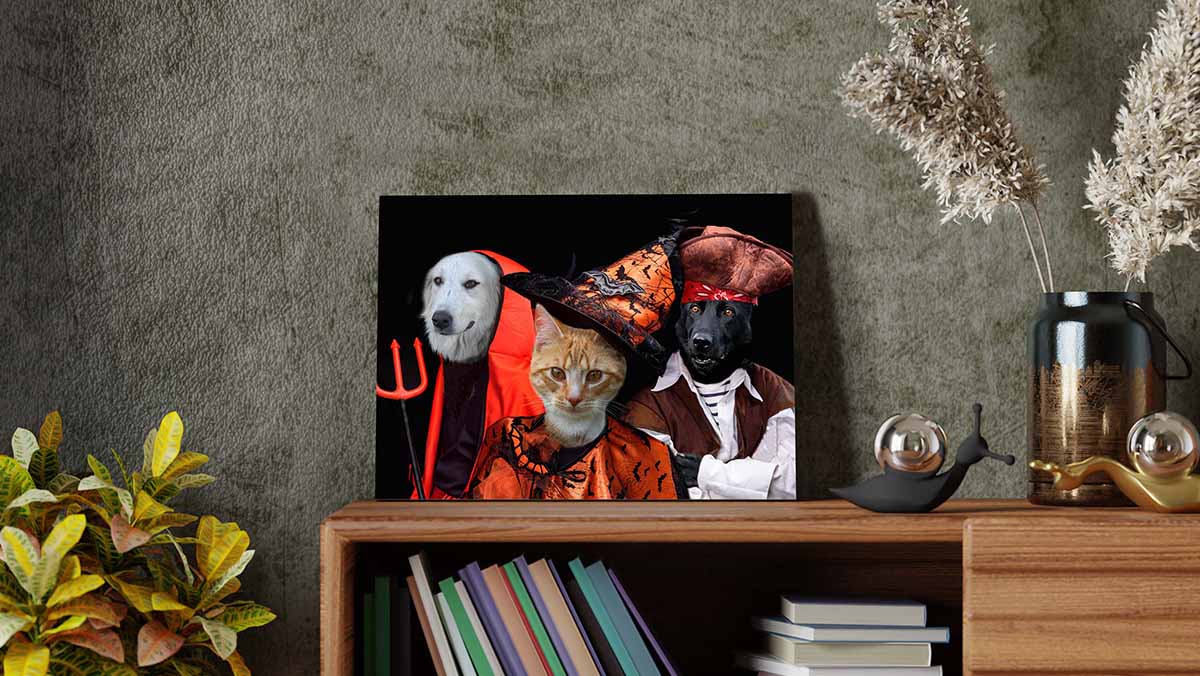 portrait of pets in halloween costume combination