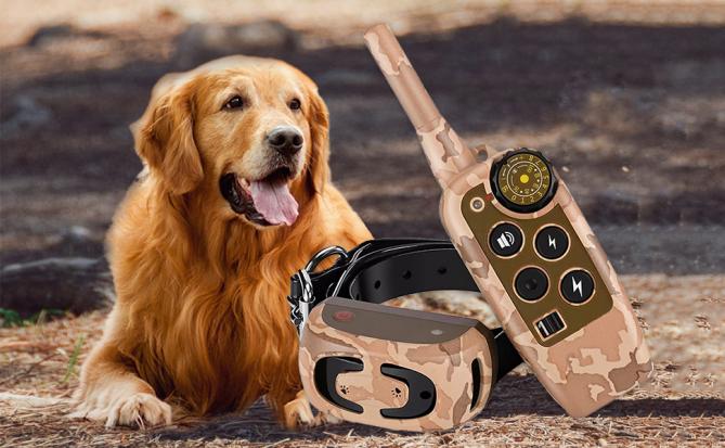 shock collar for dogs
