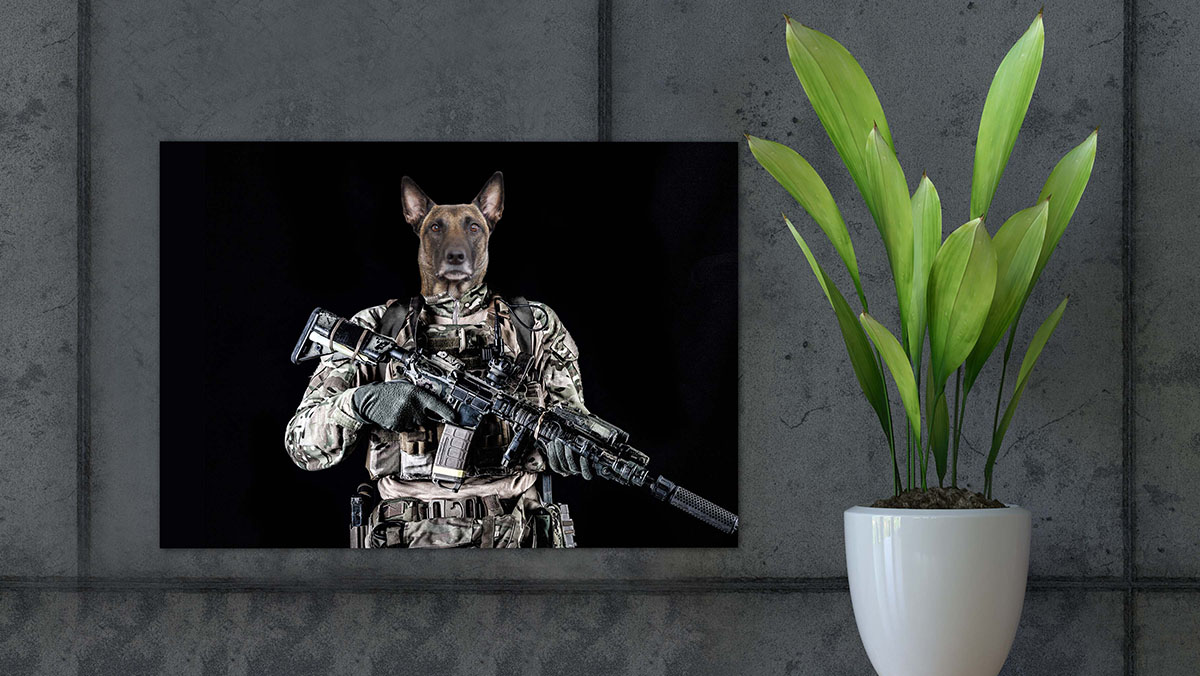 military dog painting