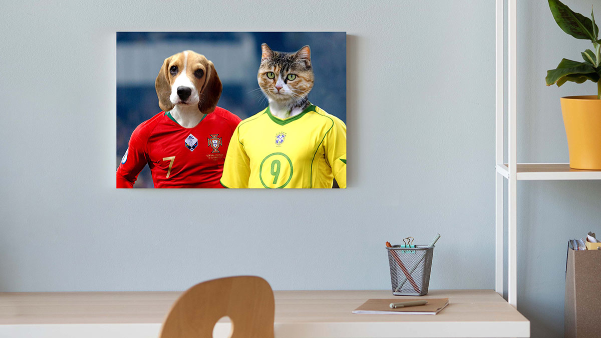 the meeting soccer stars cat and dog painting
