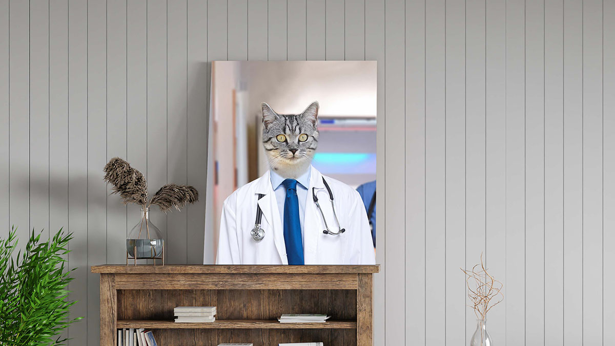 the professional doctor cat portrait photo