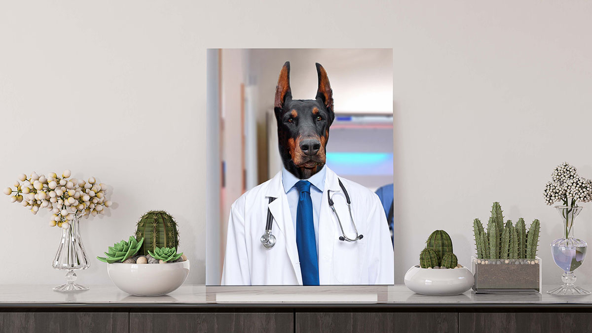 the professional doctor dog portrait photo