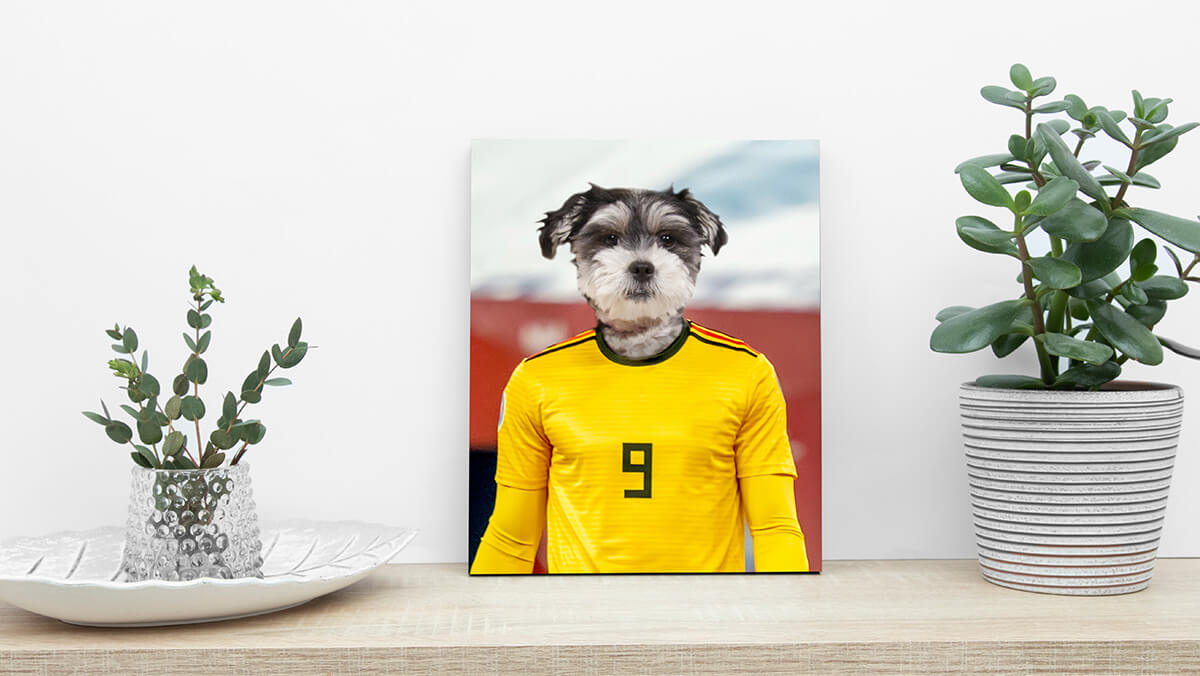 the soccer star before the camera cat art print