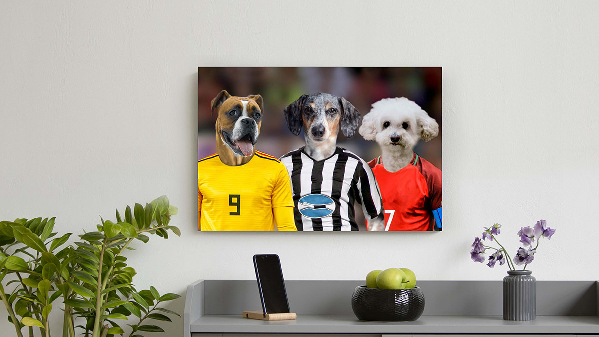 the three dog soccer stars