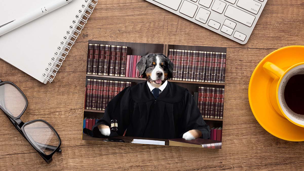 your dog in a knowledgeable judge robe painting