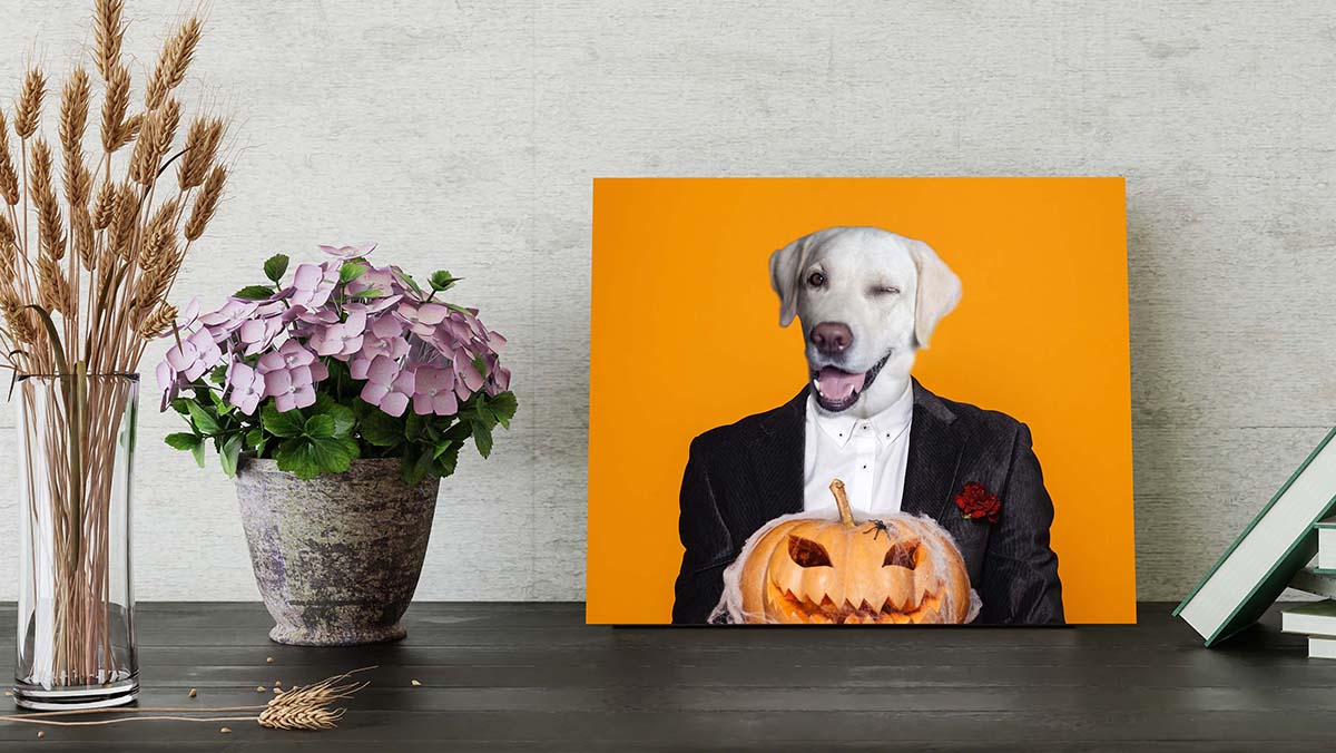 zombie dog costume portraits funny dog canvas
